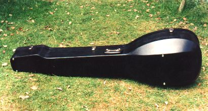 Fibreglass case for baroque lute