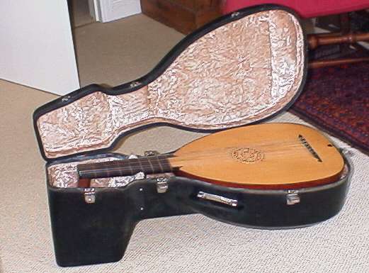 Fibreglass case for renaissance lute