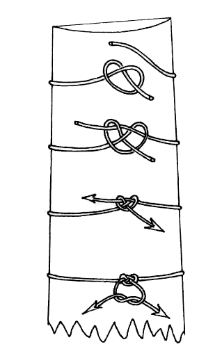 Fig of eight knot