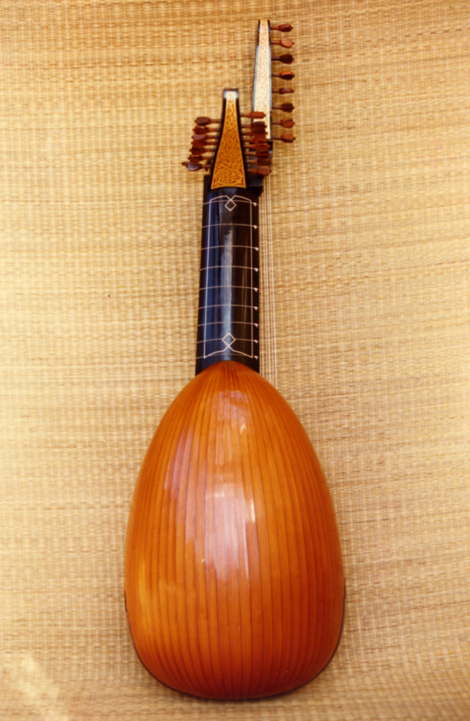 12 Course lute