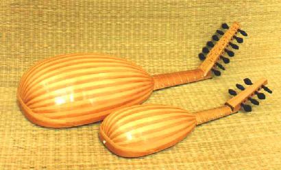Octave lute