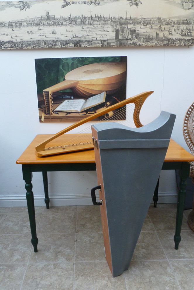 Foam harp case